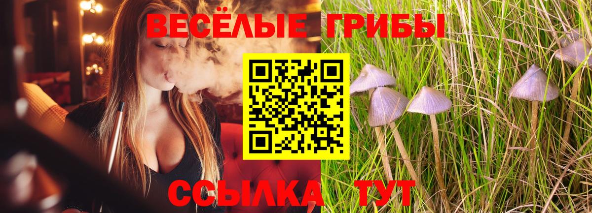 Екатеринбург  Псилоцибиновые грибы Magic Shrooms  Вход с VPN 